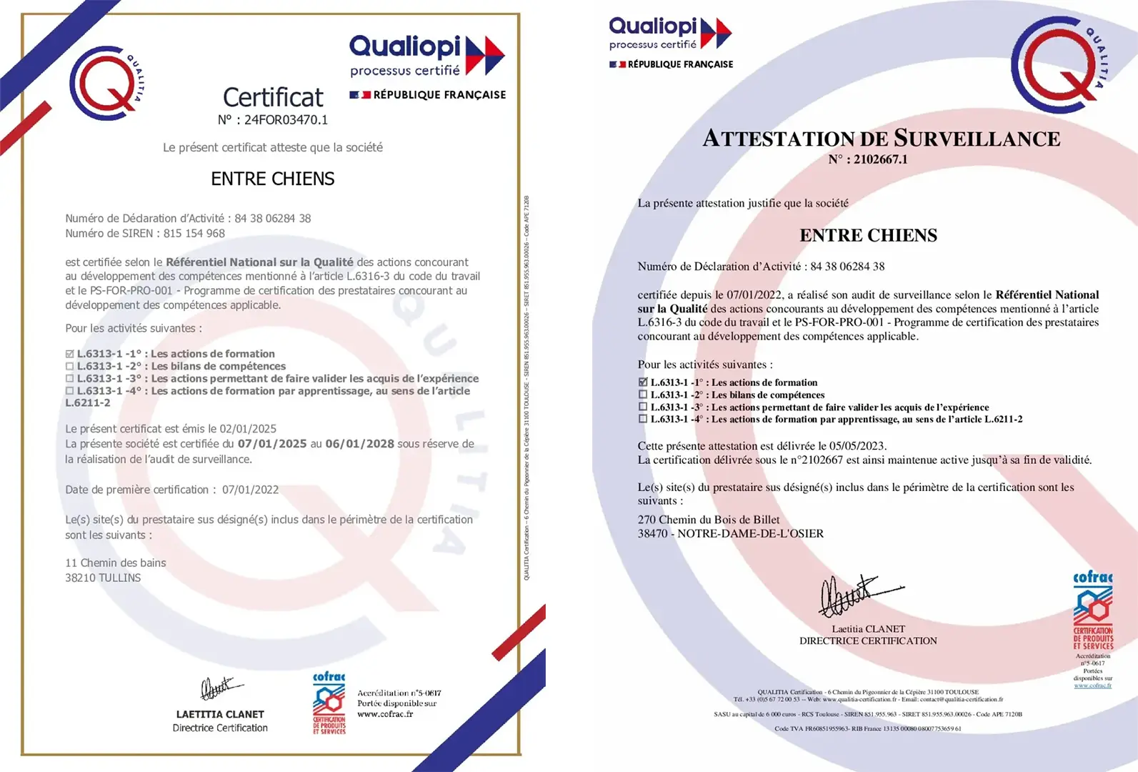 Certificat Qualiopi Entre Chiens
