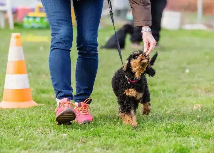 Méthode positive d'apprentissage