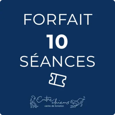 Forfait 10 séances