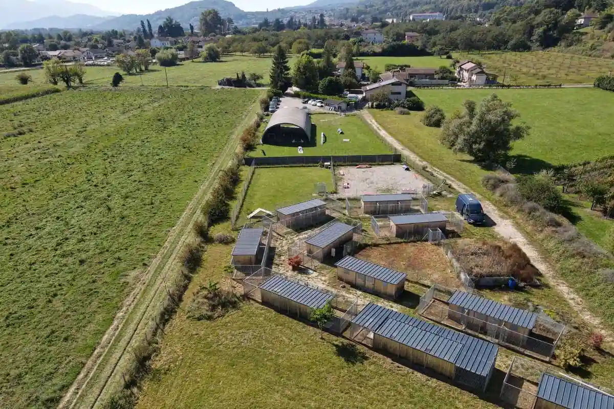 vue aérienne du centre d'éducation canine